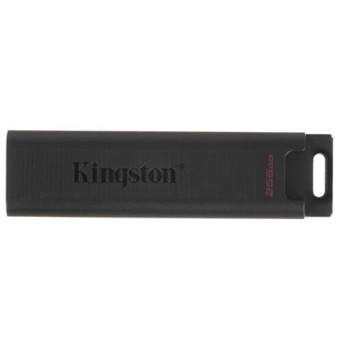 Kingston DataTraveler Max 256GB черный фото 1