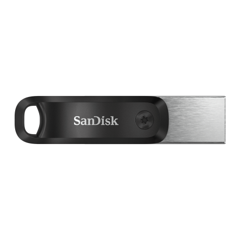SanDisk iXpand Flash Drive Go 256GB фото 1
