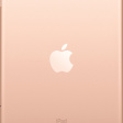 Apple iPad mini 5 64 ГБ Wi-Fi + Cellular Demo золотой фото 2
