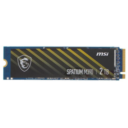 MSI Spatium M390 2Tb фото 1