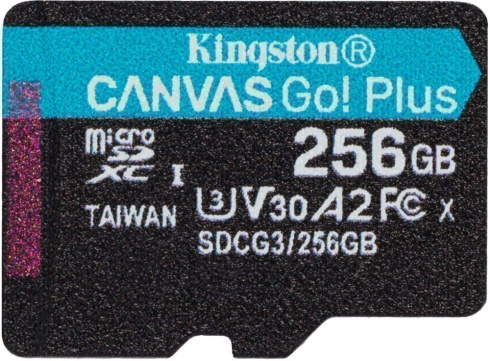 Kingston Canvas Go! Plus microSDHC 256GB фото 1