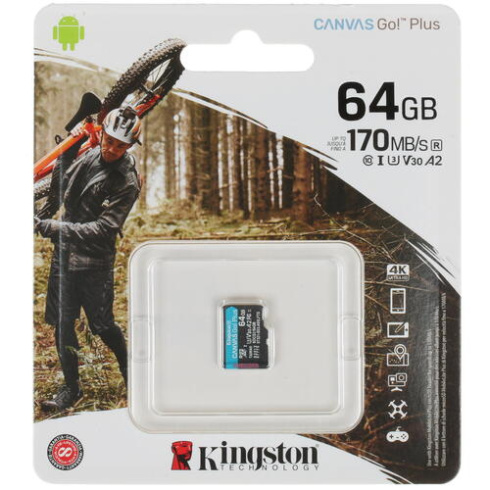 Kingston Canvas Go! Plus microSDHC 64GB фото 2