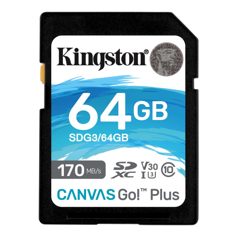 Kingston Canvas Go! Plus SD 64GB фото 1