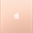 Apple iPad 7 128 ГБ Wi-Fi золотой фото 2