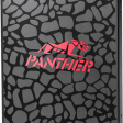 Apacer Panther AS350 AP256GAS350-1 256GB фото 2