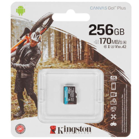 Kingston Canvas Go! Plus microSDHC 256GB фото 2
