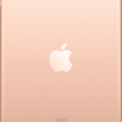 Apple iPad mini 5 256 ГБ Wi-Fi золотой фото 2