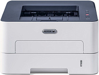 Xerox WorkCentre B210V/DNI
