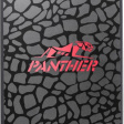 Apacer Panther AS350 AP256GAS350-1 256GB фото 1
