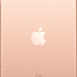 Apple iPad mini 5 64 ГБ Wi-Fi + Cellular золотой фото 2