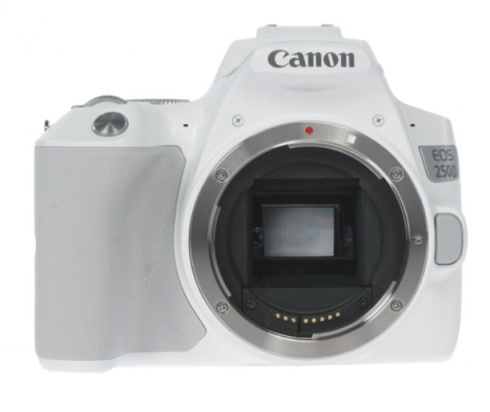 Canon EOS 250D Kit белый фото 1