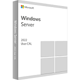 Microsoft Windows Server Cal 2022 User Cal