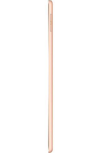 Apple iPad mini 5 256 ГБ Wi-Fi золотой фото 3