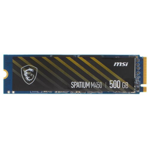 MSI Spatium M450 500Gb фото 1