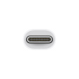 Apple Thunderbolt 3 (USB-C) — Thunderbolt 2 фото 2