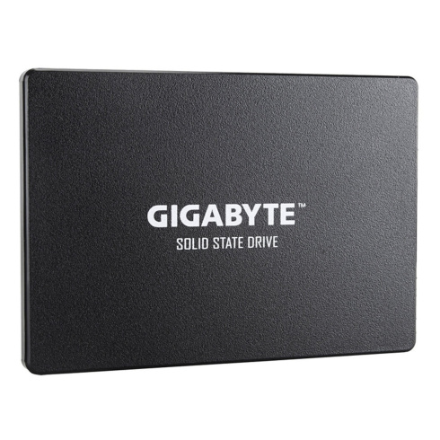 GIGABYTE GP-GSTFS31480GNTD  фото 1