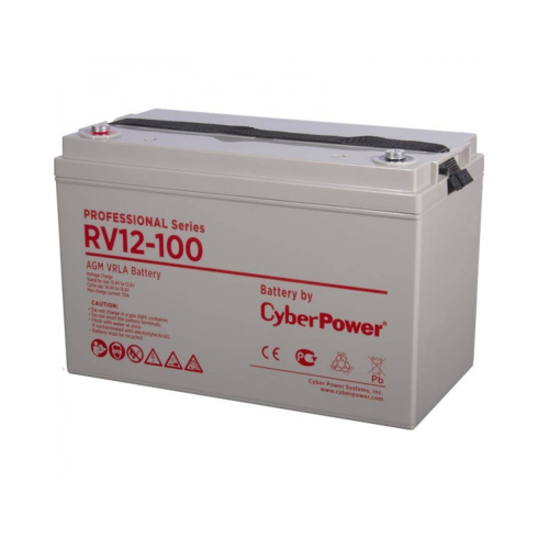 CyberPower RV 12-100 фото 2