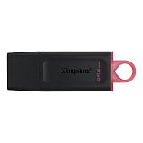 Kingston DTX 256 GB