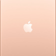 Apple iPad Air 3 64 ГБ Wi-Fi + Cellular Demo золотой фото 2