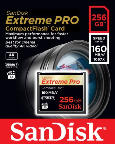 SanDisk Extreme Pro CompactFlash 256 Gb фото 2