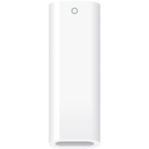 Apple USB-C to Apple Pencil Adapter, Model A2869 фото 1