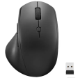 Lenovo 600 Wireless Media Mouse фото 1