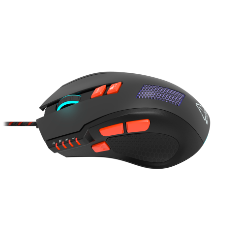 Canyon Corax GM-5N фото 5