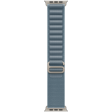 49mm Light Blue Alpine Loop - Large - Natural Titanium Finish фото 1