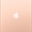 Apple iPad 7 32 ГБ Wi-Fi золотой фото 2