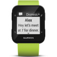 Garmin Forerunner 35 черный/салатовый фото 1