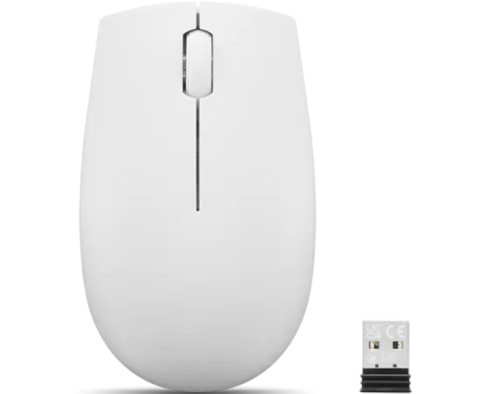 Lenovo 300 Wireless Compact Mouse (Cloud Grey) with battery фото 1