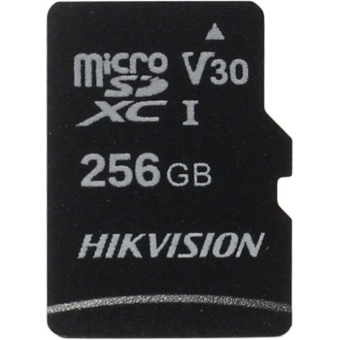 Hikvision V30 256Gb фото 1