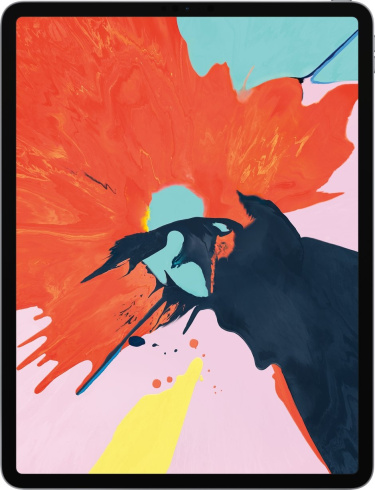 Apple iPad Pro 12.9″ (4-го поколения) 1 ТБ Wi-Fi серый космос фото 1