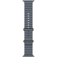 49mm Anchor Blue Ocean Band - Natural Titanium Finish фото 1