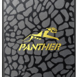 Apacer Panther AS340 960GB фото 1