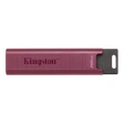 Kingston DataTraveler Max 256GB красный фото 1