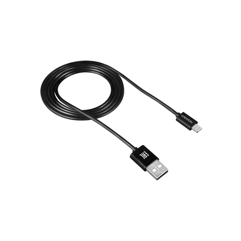 Canyon CFI-1 черный фото 1